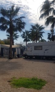 los-delfines-foto-16