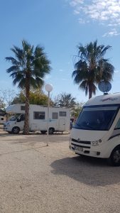 los-delfines-foto-17