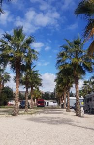 los-delfines-foto-20